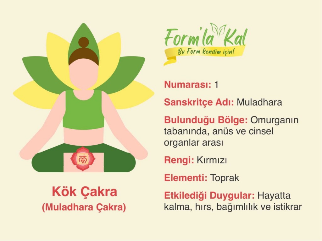 2.1. Kök Çakra (Muladhara Çakra) Nedir, Özellikleri Nelerdir?