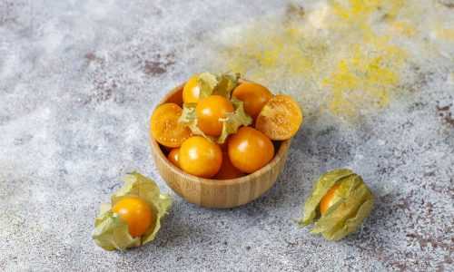 wsi imageoptim 0 physalis peruviana golden berry