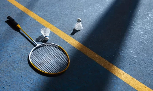 wsi imageoptim 0 Badminton Nasil Oynanir min