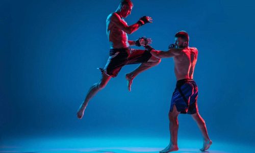 wsi imageoptim 0 Muay Thai Nedir